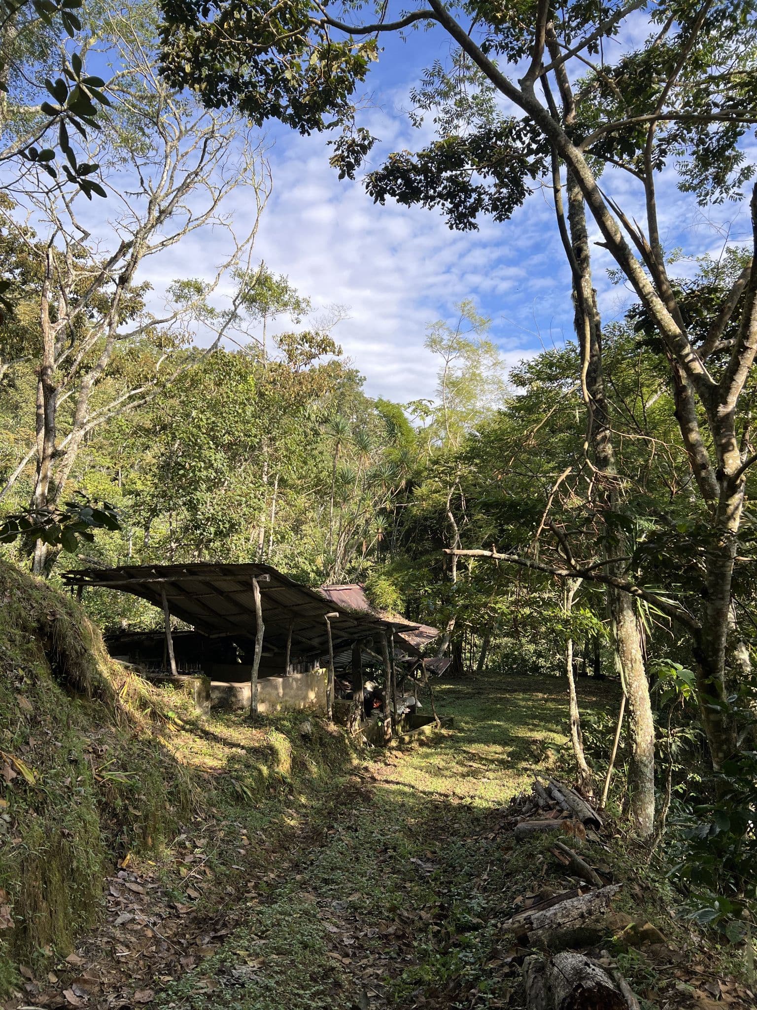 Sendero y estructura de trabajo en Rancho La Sirena