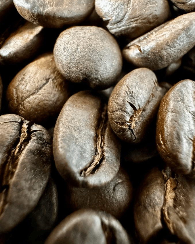 Granos de café tostado de Rancho La Sirena en primer plano