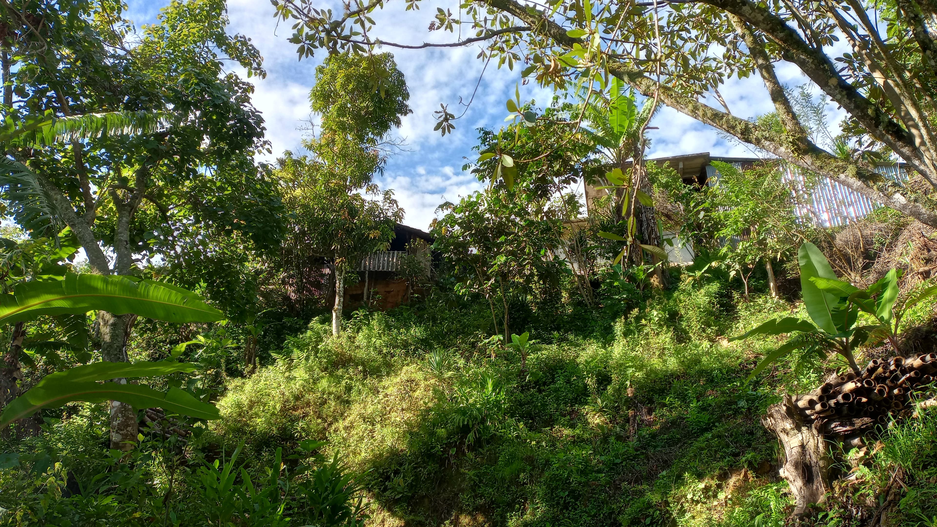 Casa del rancho entre arboles y vegetacion
