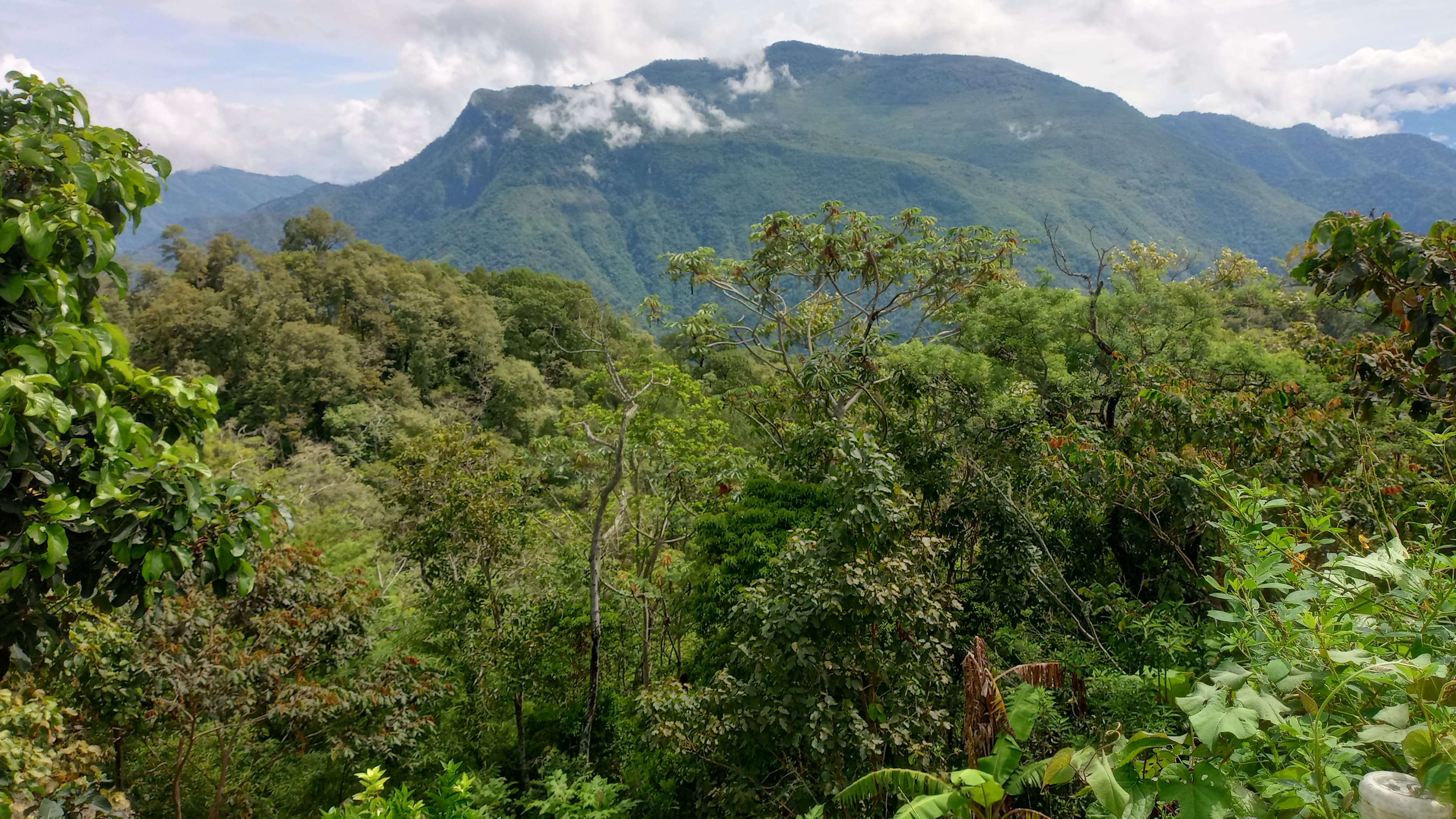 Montañas verdes alrededor de Rancho La Sirena